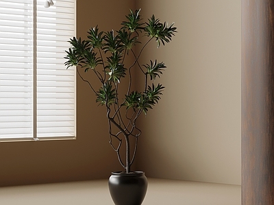 盆栽 中古风绿植盆栽
