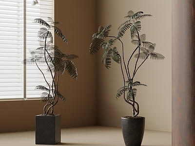 盆栽 中古风绿植盆栽