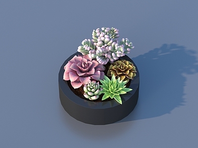 盆栽 花盆 盆栽 绿植