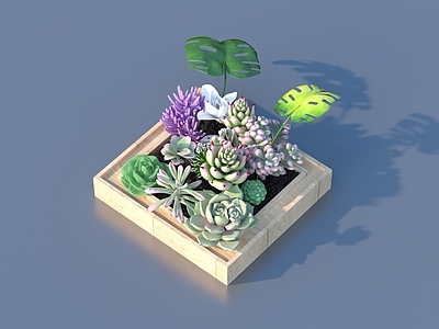 盆栽 花盆 盆栽 绿植