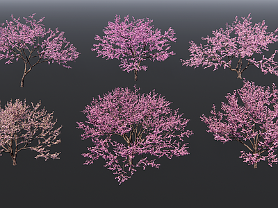 乔木 樱花树 开花树 梅花树 桃花树 粉花树