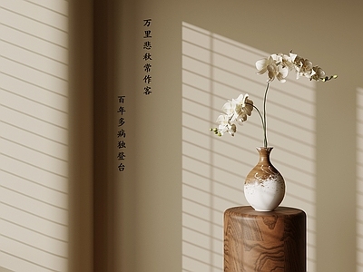 中古花瓶 中古风花瓶