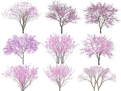乔木 3d植物