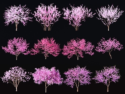 现代樱花树 桃花树 色叶树 景观树 杏花树 粉色花树 小乔木 造型树 观赏树 行道树