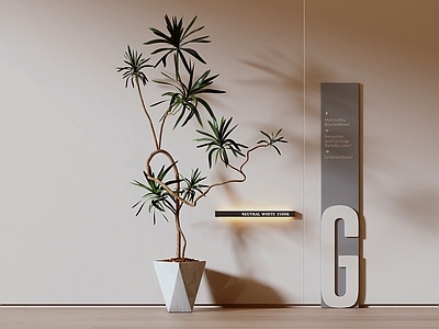 盆栽 侘寂绿植 室内盆栽 植物摆件 中古绿植