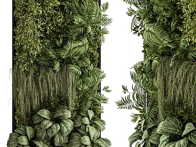 绿植墙