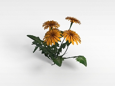 现代葵花装饰