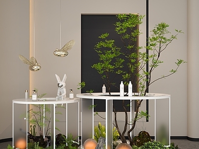 植物组合 盆栽组合 绿植组合 室内造景 展览展厅 室内绿植