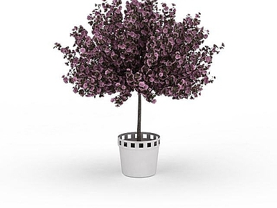 现代室外盆栽摆设