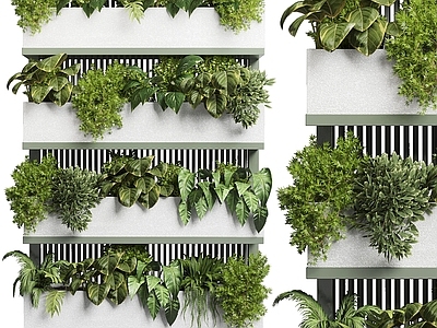 绿植墙