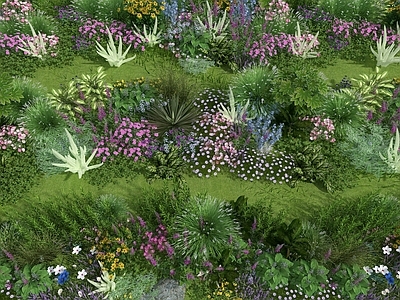 花坛 花草 花镜 花池