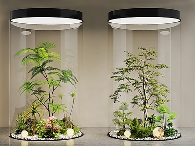 现代室内景观 景观造景 植物堆 景观树 玻璃柜景观造景 绿植组合