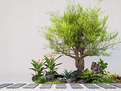 乔木 现代植物堆 景观老桩造型树 灌木植物组合 花镜