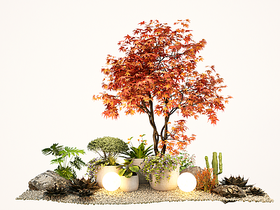 植物组合 现代植物盆栽 红枫 景观造型树 花镜绿植堆