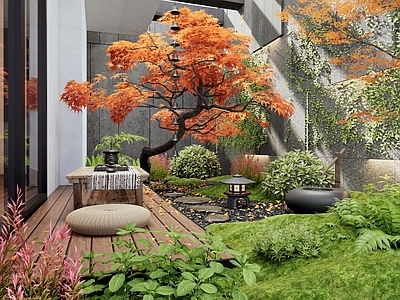 日式庭院 室内景观 天井庭院景观 红枫 灌木 植物景观