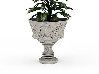 现代观赏性盆栽