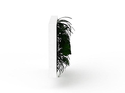 现代植物墙饰