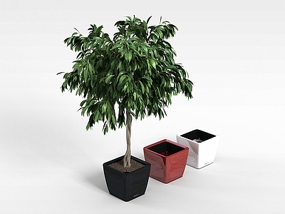 现代绿植花盆组合