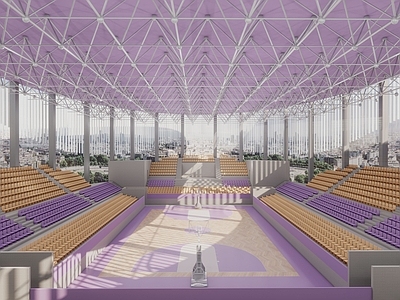 现代篮球场 室内篮球场 户外篮球场 室内体育馆