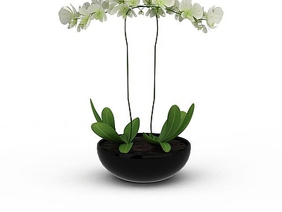 现代精美黑色陶器花盆