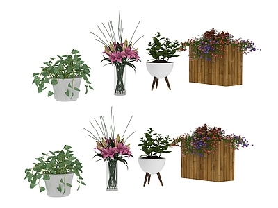 盆栽 绿色植物 盆栽