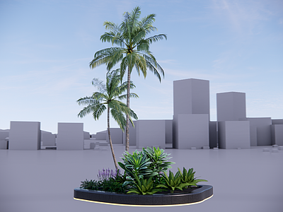 乔木 景观树 树池乔木 棕榈 椰子树 热带植物