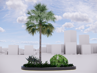 乔木 棕榈 景观树 树池乔木 热带植物