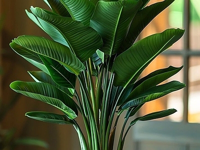 盆栽 中古风绿植盆栽