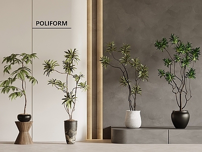 盆栽 中古风绿植 落地盆栽