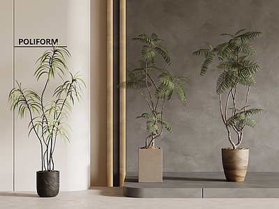 盆栽 中古风落地盆栽 新中式落地盆栽