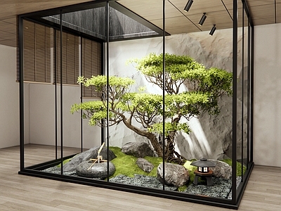 新中式室内景观 天井室内景观 植物造景 水钵 景观石头 苔藓