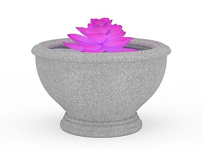 现代花坛