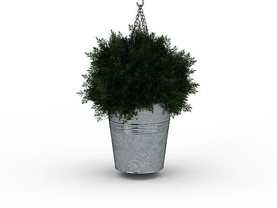 现代绿植盆栽