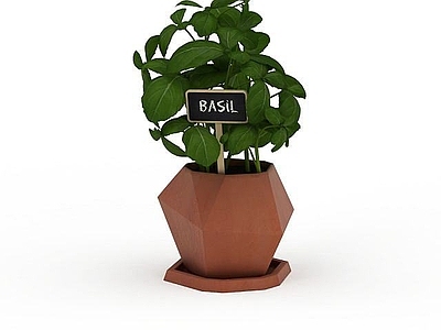 现代花草绿植盆栽