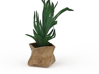 现代花草绿植盆栽