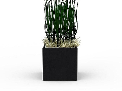 现代花草绿植盆栽