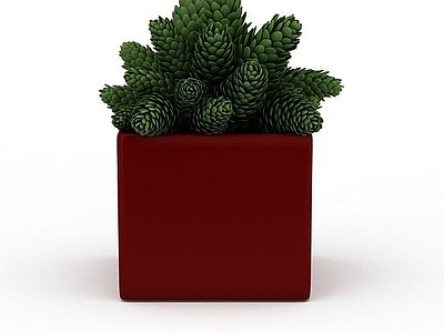 现代绿植盆栽