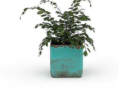现代绿植盆栽