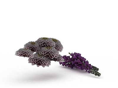 现代紫色花束