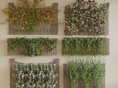 藤蔓 藤蔓 围栏 爬藤 月季 栅栏