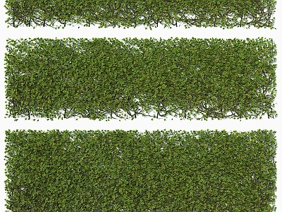 绿植墙 植物墙 绿植墙 藤蔓