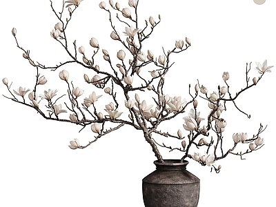 新中式侘寂花艺 花瓶 花艺 陶罐 木兰