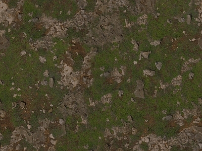 现代自然地面 户外地面 景观地面