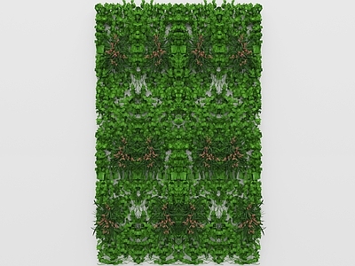 绿植墙 绿植墙