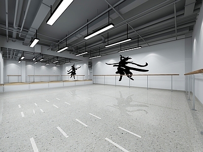 现代瑜伽室 舞蹈室