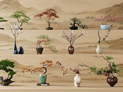 盆栽 迎客松 绿萝 吊兰 罗汉松