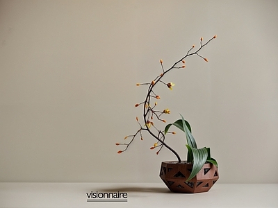 盆栽 中式绿植盆栽