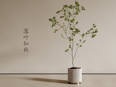 盆栽 现代盆栽 绿植盆栽 客厅盆栽 阳台盆栽 吊钟