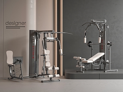 现代健身器材 多功能健身器材 力量训练器