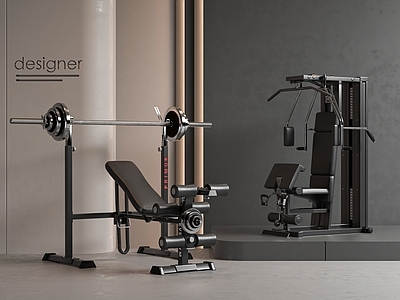 现代健身器材 坐姿推胸 力量训练器 多功能健身器材